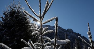 Czekają nas mroźne i słoneczne święta